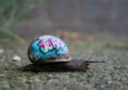 /album/graffity/graffit-7-jpg/